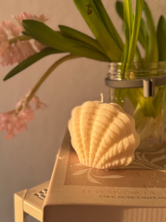 Muschelkerze klein
